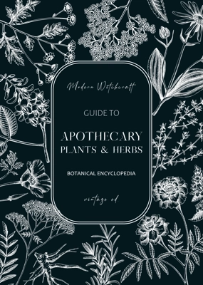 Apothecary plant frame design. Witchcraft background. Herbal remedies, medicinal plant, witch herbs, natural medicine hand-drawn vector illustration on chalkboard NOT AI genereted